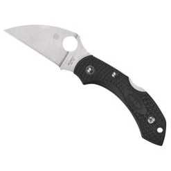 Spyderco Dragonfly 2 Black C28FPWCBK2