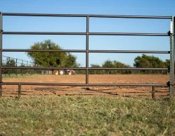 Chute Help 12' 5 Rail Arena Panel (16ga)